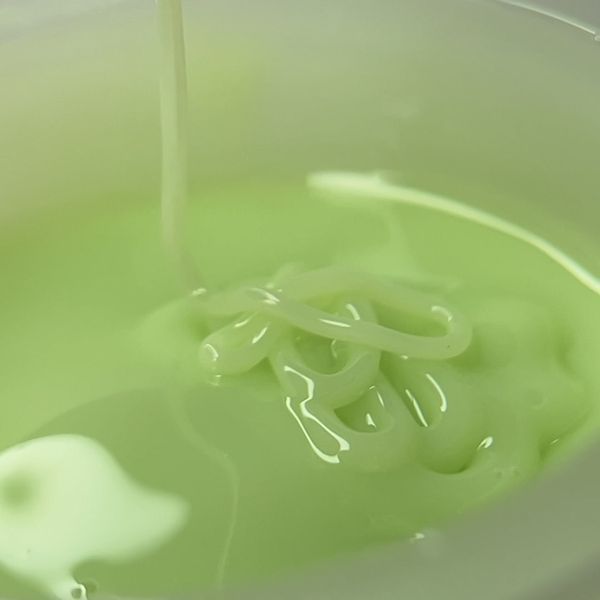 Гель моделюючий Zaba Nail system LIME CREAM, 25 г 22457 фото
