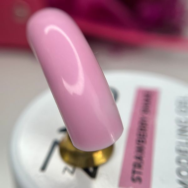 ZNS Гель для наращивания Modeling Gel Strawberry shake, 25 г 62021 фото