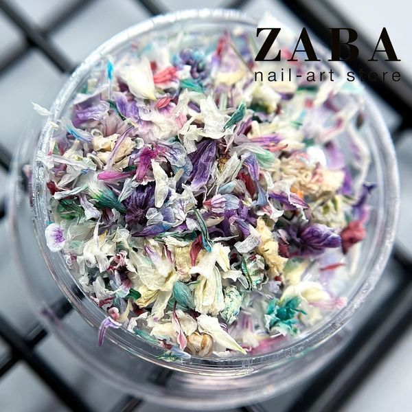 Сухоцветы для дизайна в баночке 004 61873 фото