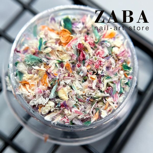 Сухоцветы для дизайна в баночке 003 61872 фото