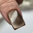 Гель‑лак Кошачий Глаз ZNS Silky Cat Eye 04, 8 мл