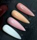 Камуфлирующий топ для гель-лака Crooz Top Color 004, 8мл 70022 фото 4
