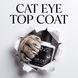 ZNS Cat Eye top &laquo;Mr.Cat&raquo; &ndash; фінішне покриття для нігтів з ефектом котячого ока, 8 мл 43418 фото 1